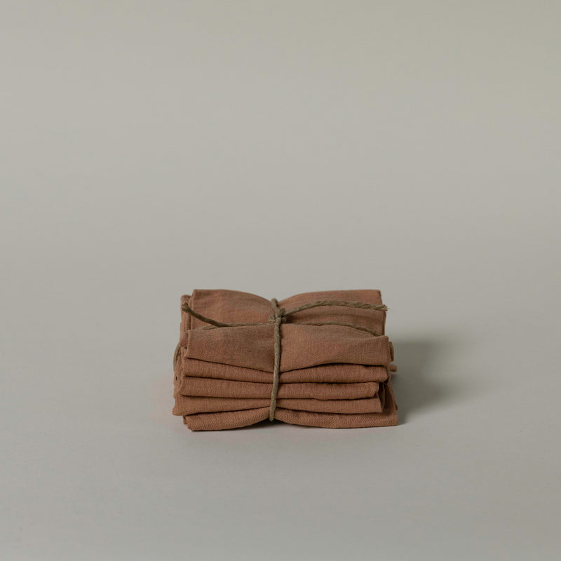 terracotta linen napkins (set of 6)