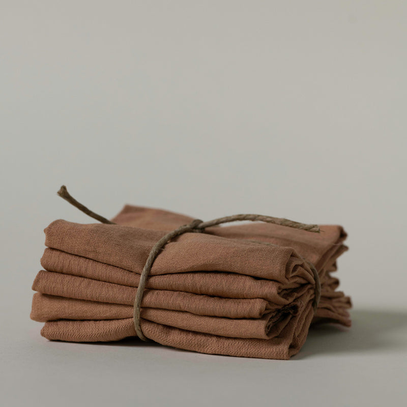 terracotta linen napkins (set of 6)